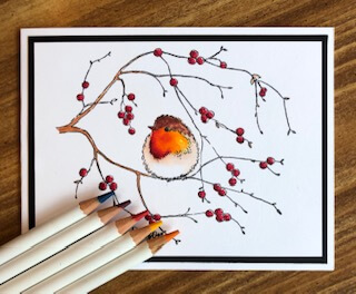 snowy-flight-bird-penny-black-nuvo-watercolor-pencils-stampladee-deb-valder-teaspoon of fun-1