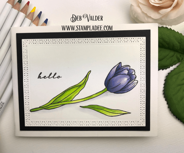 learn to watercolor with watercolor pencils #1