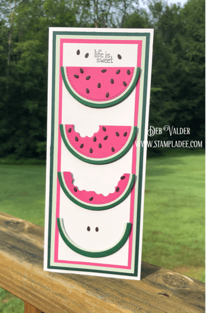 Slimline Watermelon Card is from our newest card kit found in the Teaspoon of Fun Shoppe.