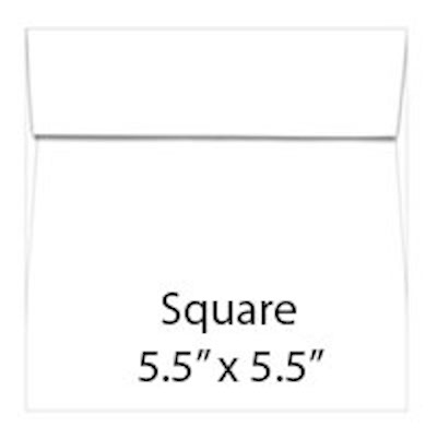 Square Envelopes - 5.5" x 5.5" package of 10 - Teaspoon of Fun
