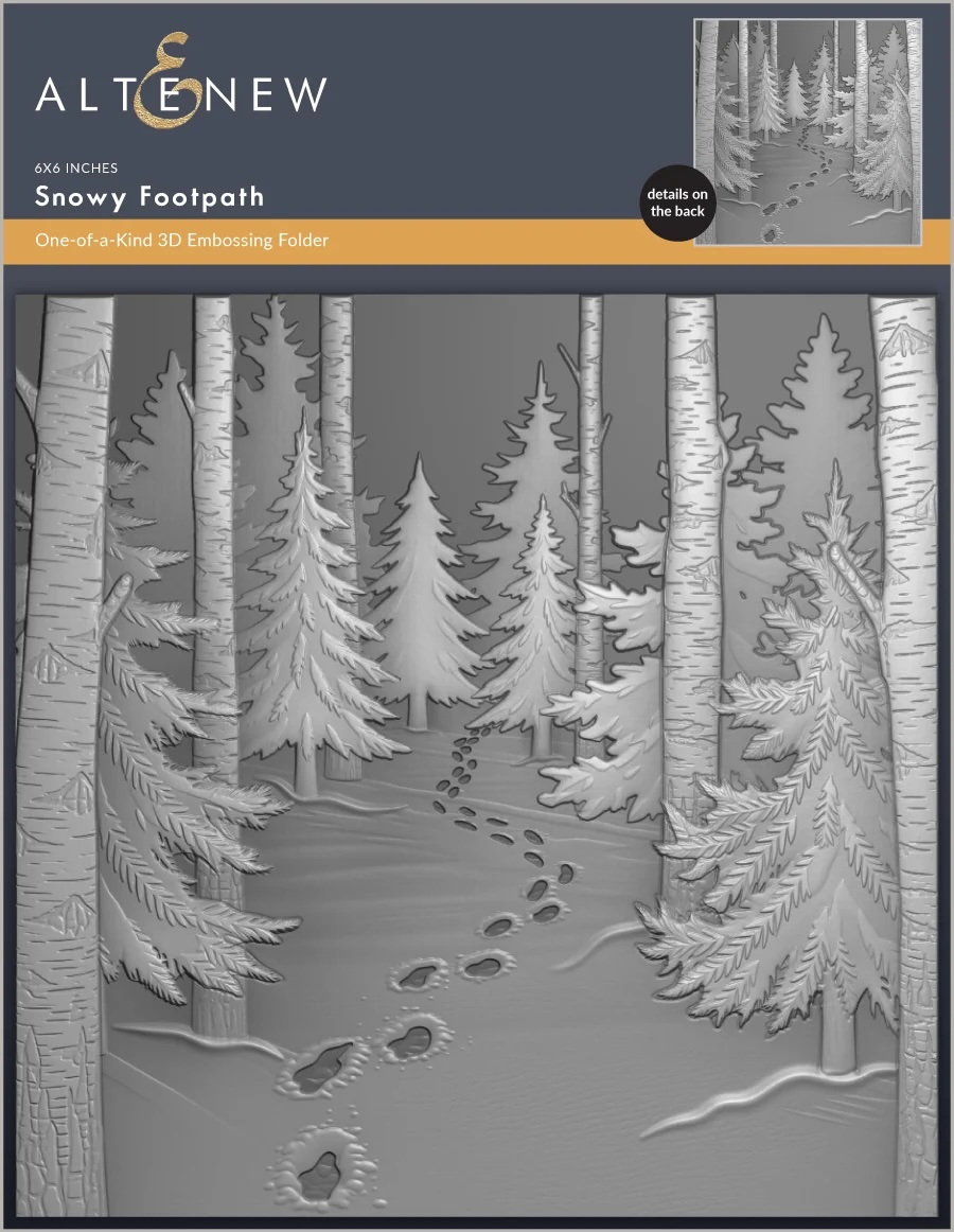 Snowy Footpath 3D Embossing Folder
